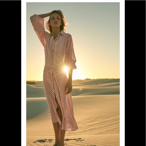 BLOGGER FAV Zara Dress embroidered midi dress - Picture 2 of 5